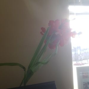 Meet your Posher, Dan